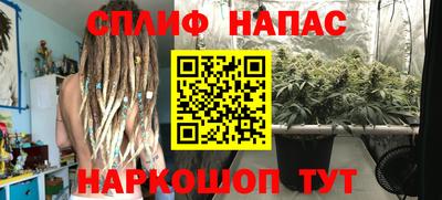 гидропоника Будённовск