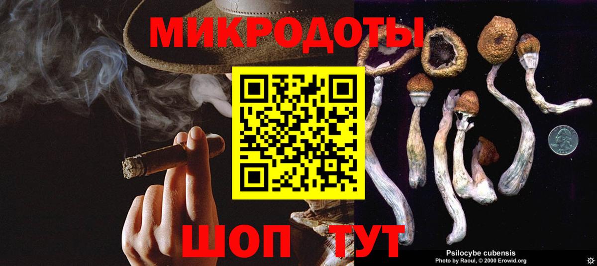 Галлюциногенные грибы MAGIC MUSHROOMS  Псилоцибиновые грибы мухоморы  Вход с VPN  Бор 