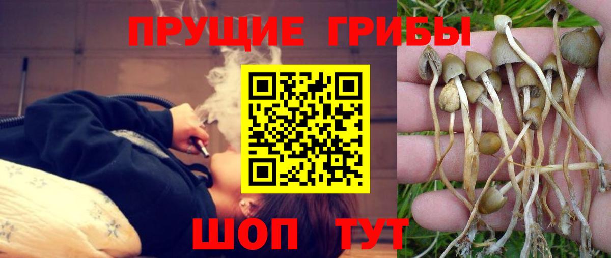 Псилоцибиновые грибы мухоморы Бор
